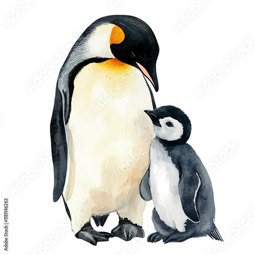 A watercolor illustration of an emperor penguin caring for its chick, isolated on a white background. Penguin vector.
