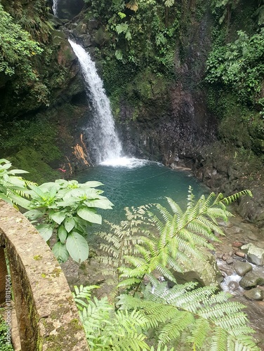 waterfall in the forest