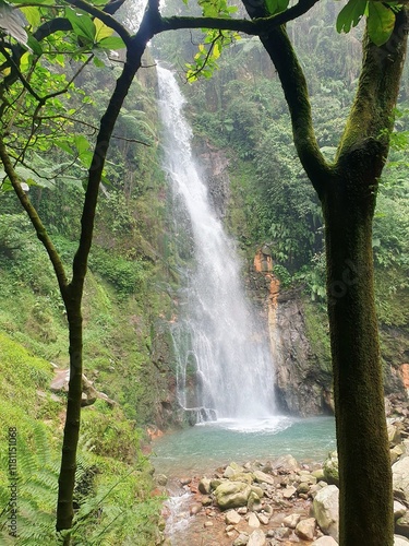 waterfall in the forest
