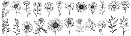 Wallpaper Mural Hand drawn simple flower outline illustration Torontodigital.ca