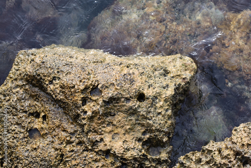 Obraz premium Closeup look at large size stone on beach coast