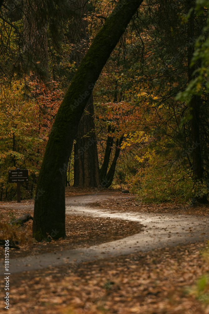 autumn in the park