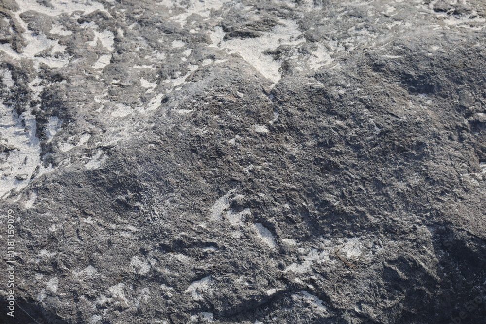 Large stone texture closeup photo Large stone texture closeup photo