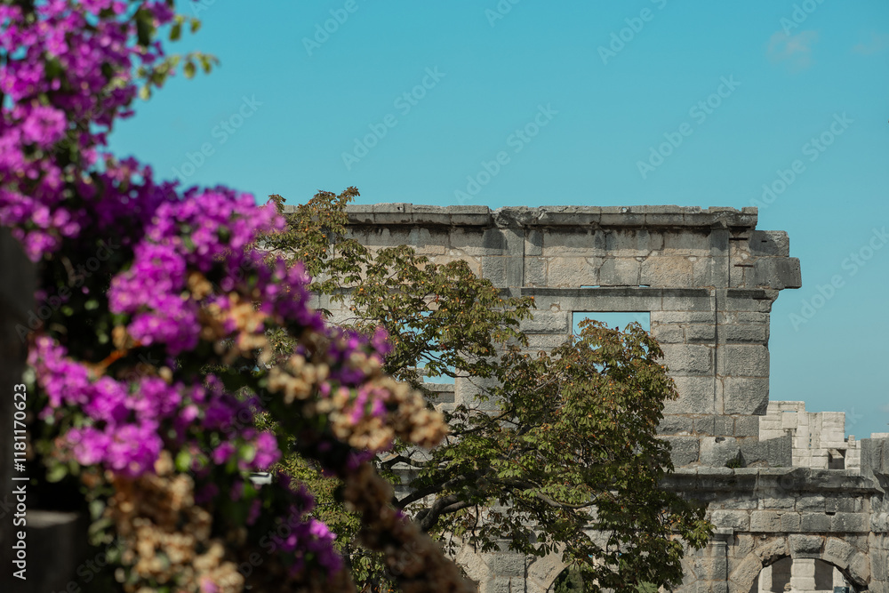 Side detail of a wall of amphiteatre in Pula, Croatia. Visible tall wall of outer part of colloseum, hiding behind flowers and foliage