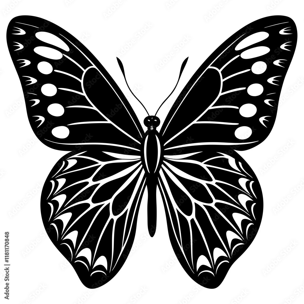 Black and White Butterfly Silhouette with Intricate Symmetrical Wing Patterns Vector Black and White Butterfly Silhouette with Intricate Symmetrical Wing Patterns Vector