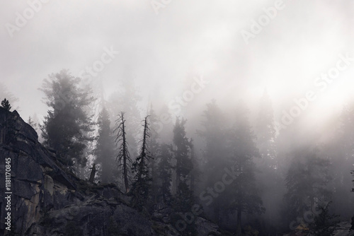 Obraz na płótnie fog in the mountains w salonie