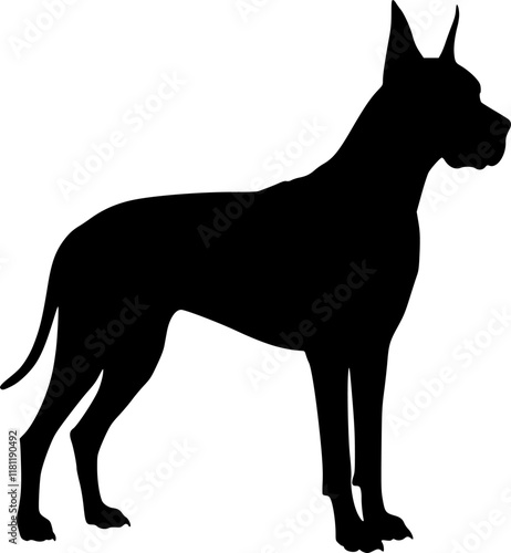 Vector silhouette of Great Dane on white background. Symbol of pet and breed. Transparent background PNG cutout.
