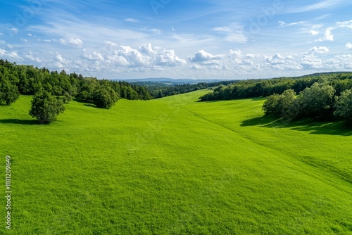 Summer aerial view showcasing green fields and meadows. An abstract depiction of fields, grass, trees, sunlight, and vibrant foliage. Drone-captured landscape photo