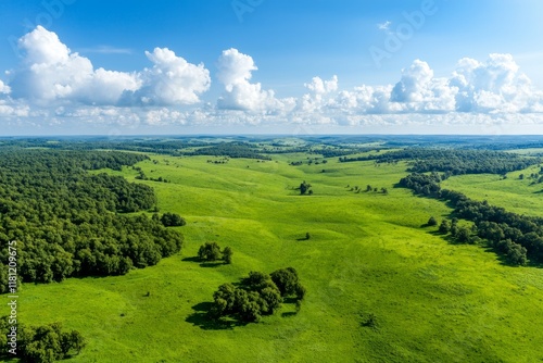 Summer landscape viewed from above, featuring green fields and meadows. An abstract representation of fields, grass, trees, sunlight, and dense foliage. Drone-shot imagery