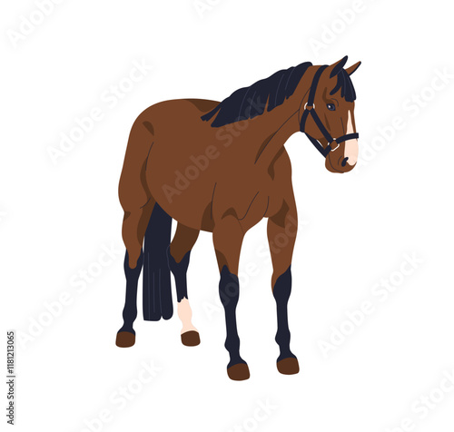 Horse standing, wearing bridle. Chestnut stallion with halter on head, harness on muzzle. Thoroughbred equine. Domestic purebred farm animal. Flat vector illustration isolated on white background