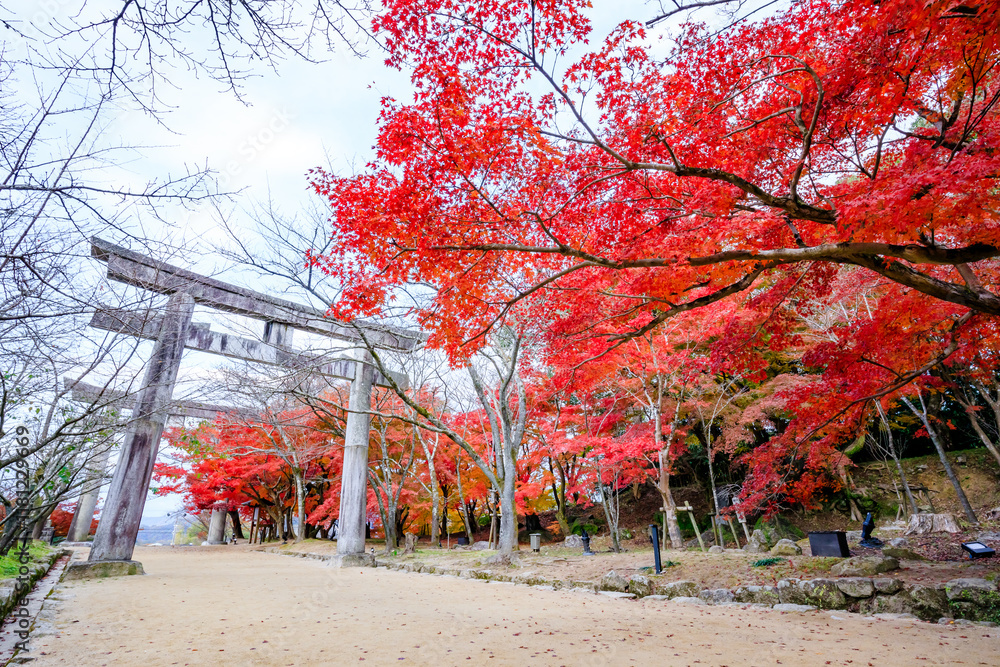 秋の竈門神社 福岡県太宰府市 Kamado Shrine in autumn. Fukuoka Pref, Dazaifu City. 秋の竈門神社 福岡県太宰府市 Kamado Shrine in autumn. Fukuoka Pref, Dazaifu City.