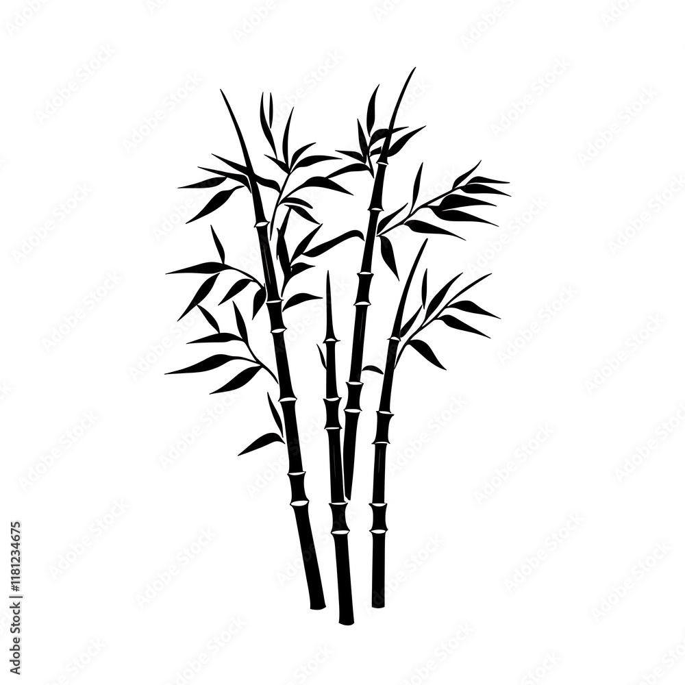 Obraz premium Black and white bamboo illustration for design use.