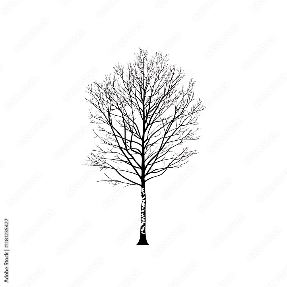 Fototapeta premium A minimalist black and white tree illustration.