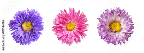 Set of different colors of ...