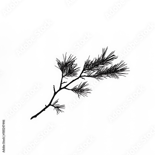 Wallpaper Mural Monochrome pine branch isolated on white background. Torontodigital.ca
