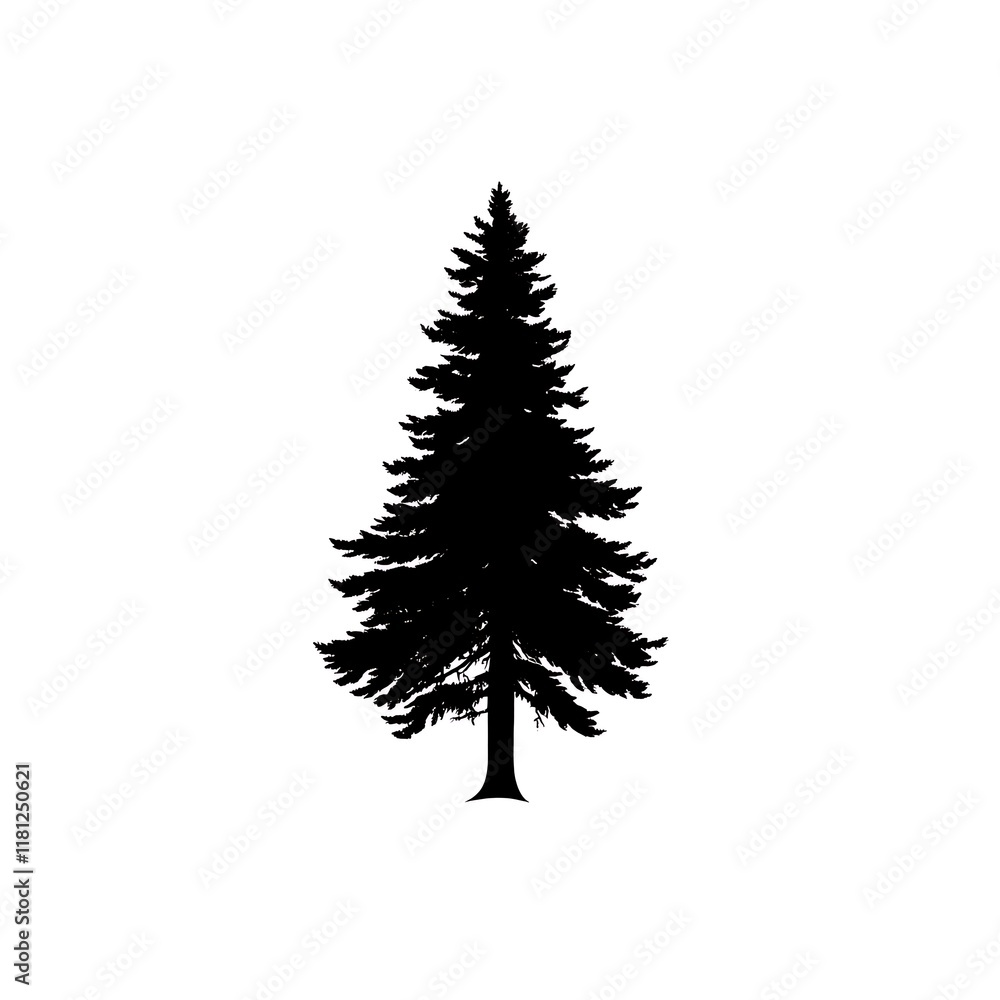 Black silhouette of a coniferous evergreen tree. (4) Black silhouette of a coniferous evergreen tree. (4)