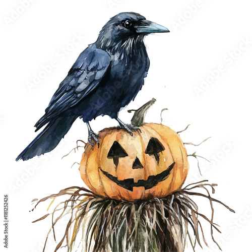 A watercolor vector of a crow perched on a scarecrow, isolated on a white background. Crow vector.
