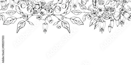 Blueberry blackberry with white bell flowers, plant leaves, hand drawn in ink vector, forest berry on branches. Seamless banner garland illustration for restaurant, cafe menu, wedding, farmers market