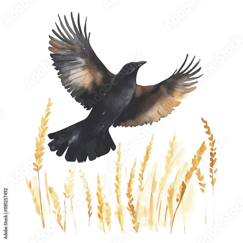 A watercolor illustration of a crow flying over a wheat field, isolated on a white background. Crow vector.
