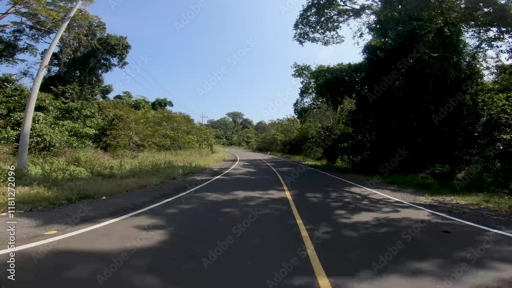 Road in the fores location of the Southern Cross Road on the island of Java Road in the fores location of the Southern Cross Road on the island of Java
