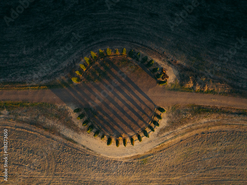 Aerial view of the circle of cypresses with beautiful shadows and patterned fields, San Quirico d'Orcia, Italy. photo