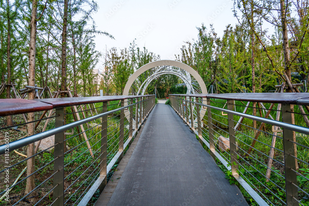 Obraz premium Serene Walkway Through a Lush Garden Oasis