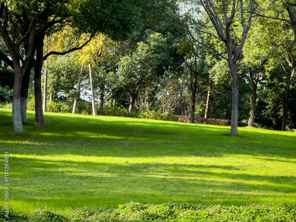 Tranquil Green Landscape Surrounded by Lush Trees and Sunlight Tranquil Green Landscape Surrounded by Lush Trees and Sunlight