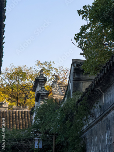 Serene View of Ancient Architecture Amidst Nature's Embrace photo