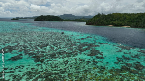 Aerial view of a beautiful tropical island with pristine reef and azure ocean, Eastern Fiji. photo