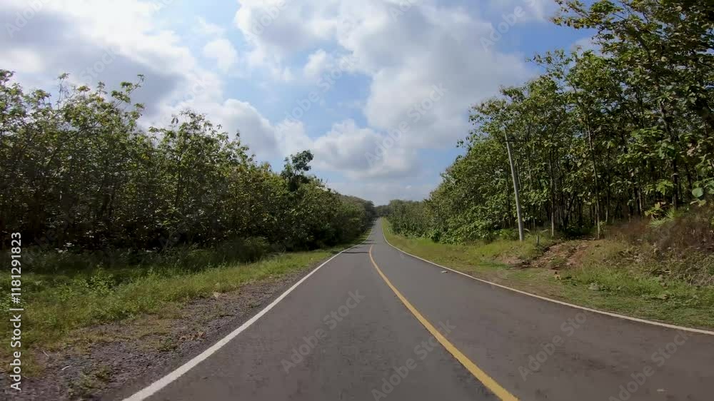 Road in the fores location of the Southern Cross Road on the island of Java Road in the fores location of the Southern Cross Road on the island of Java