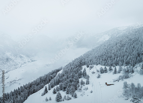 Wallpaper Mural Aerial view of a small hut surrounded by snow-covered mountains and serene forests in winter, Mestia, Georgia. Torontodigital.ca