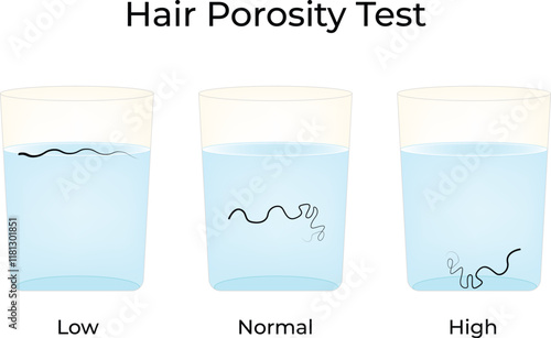 Hair Porosity Test Science Design Vector Illustration Diagram
