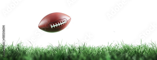 Rugby pitch isolated on transparent background.	