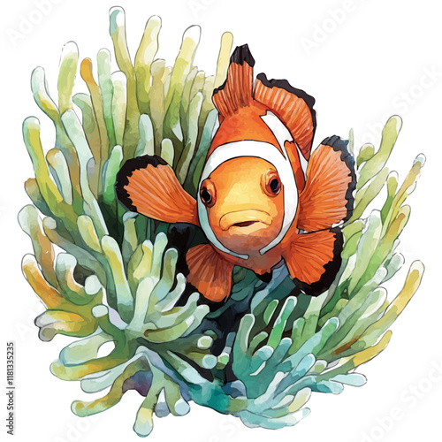 A watercolor drawing of a clownfish hiding in anemones, isolated on a white background. Clownfish vector.
