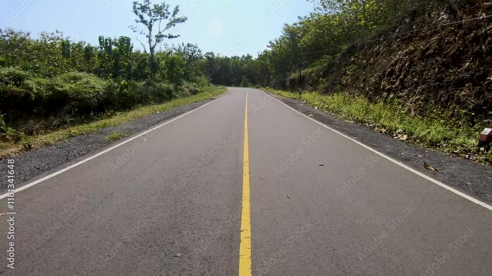 Road in the fores location of the Southern Cross Road on the island of Java Road in the fores location of the Southern Cross Road on the island of Java