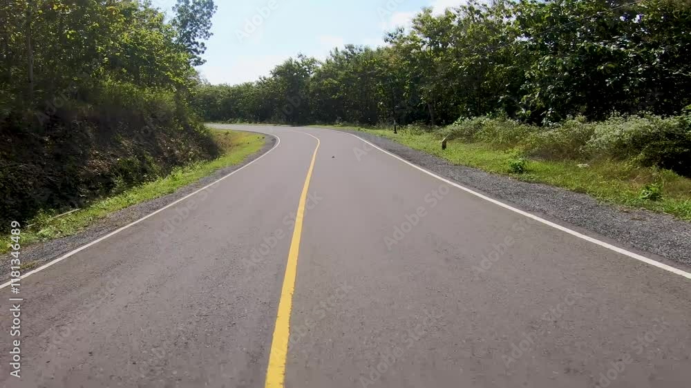 Road in the fores location of the Southern Cross Road on the island of Java Road in the fores location of the Southern Cross Road on the island of Java
