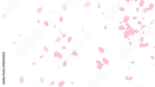 静かに風に舞う水彩の桜の花びらループアニメーション（アルファチャンネル）