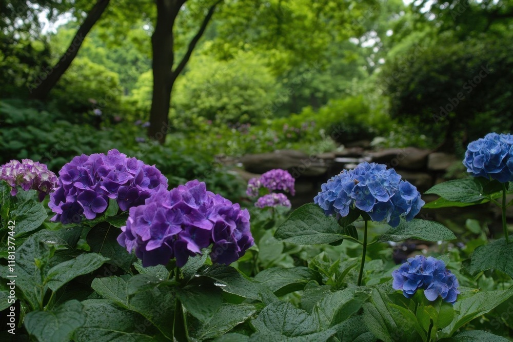 Vibrant hydrangea flowers in a lush garden setting. Vibrant hydrangea flowers in a lush garden setting.
