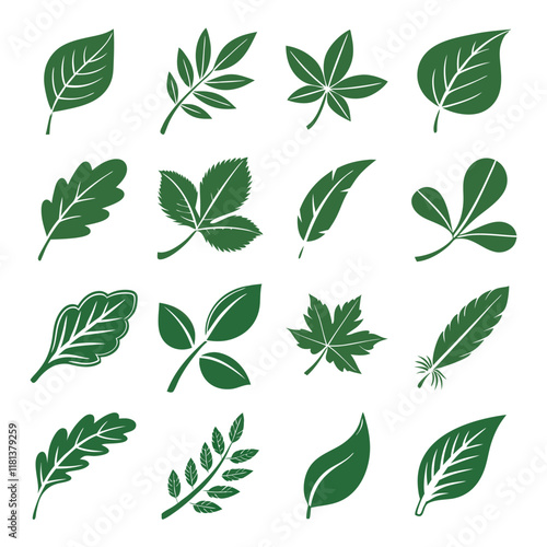 green leaf icon design with white background