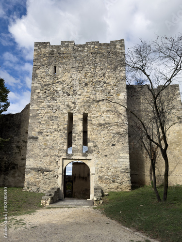 Medieval Castle Entrance with Stone Walls
