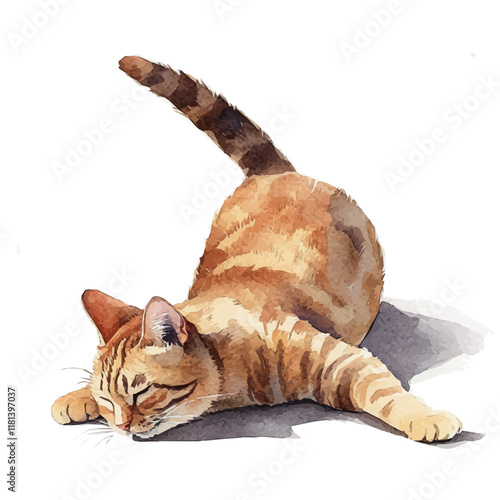 A watercolor vector of a cat stretching in sunlight, isolated on a white background. Cat vector.
