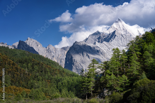 Hengduan Mountains in Yading, Daocheng, China photo