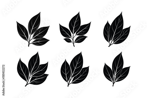 Basil (Ocimum basilicum) spice silhouette vector art illustration