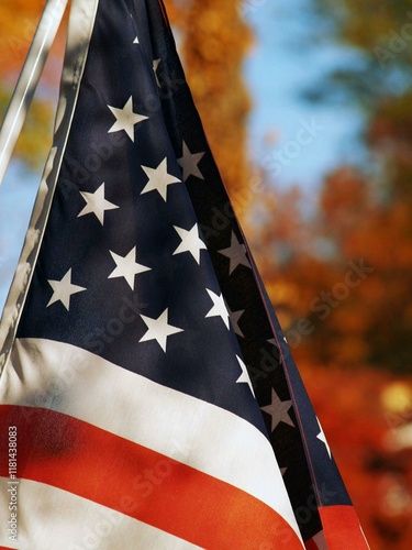 U.S.A. flag in fall season