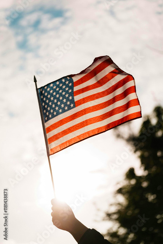 Hand holding a United States of America flag 