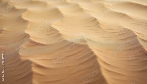 Wind-sculpted textures of the dunes photo