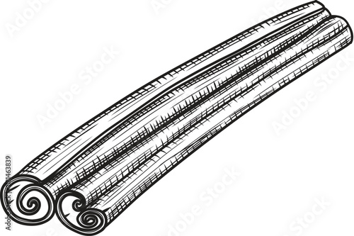 Cinnamon stick vector hand drawn line art sketch style. Image of aromatic spice on isolated background retro engraving.