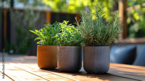 Fresh herbs in modern planters on a rustic wooden table in a sunlit garden se...
