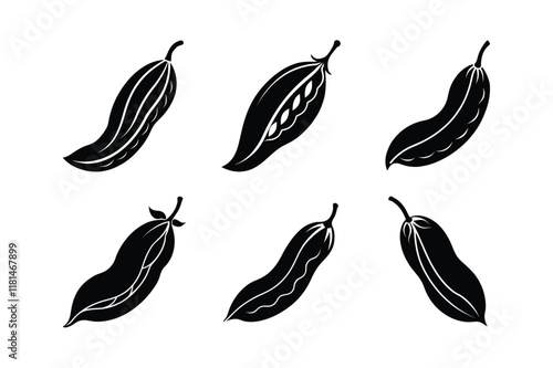 Carob (Ceratonia siliqua) spice silhouette vector illustration