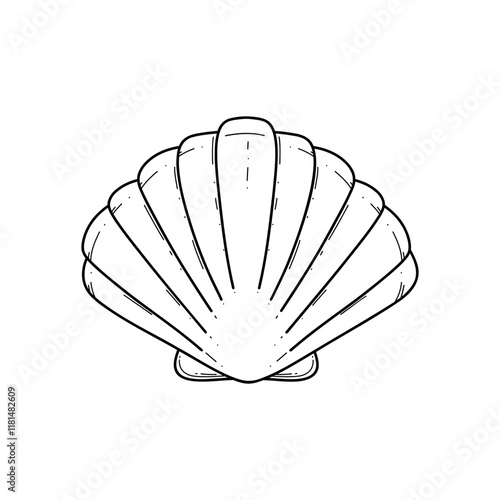 Seashell scallop hand-drawn isolated on a white background, graphic linear black and white illustration, vector. A decorative element for decoration, design, and doodle-style decoration